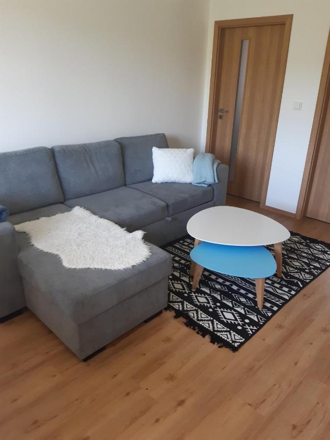Apartmán u Kunštátského mlýna Orlicke Zahori Exterior foto