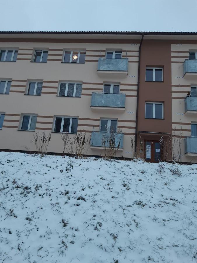 Apartmán u Kunštátského mlýna Orlicke Zahori Exterior foto